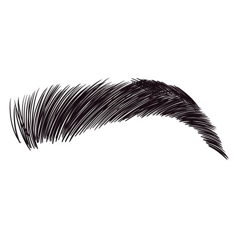 Black Fluffy Eyebrow 22924744 PNG