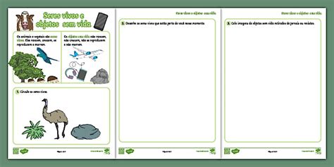 Atividade sobre seres vivos e objetos sem vida para alunos