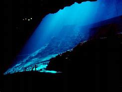 Image result for deep-sea