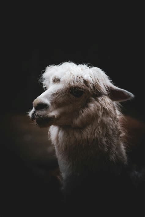 4k Emo Bart Simpson Photos, Download The BEST Free 4k Emo Bart Simpson ...