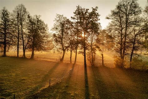 Morning Routine for Vacation 的图像结果