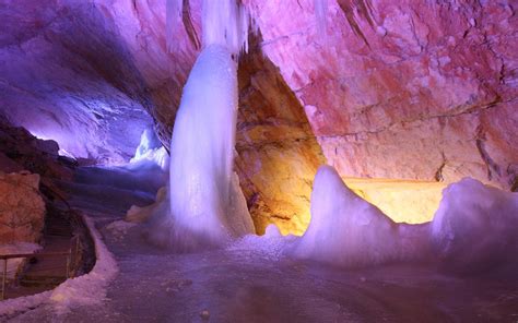 Image result for Final Research Paper Example