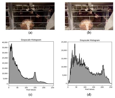 Deep Learning-Based Detection and Digital Twin Implementation of Beak ...
