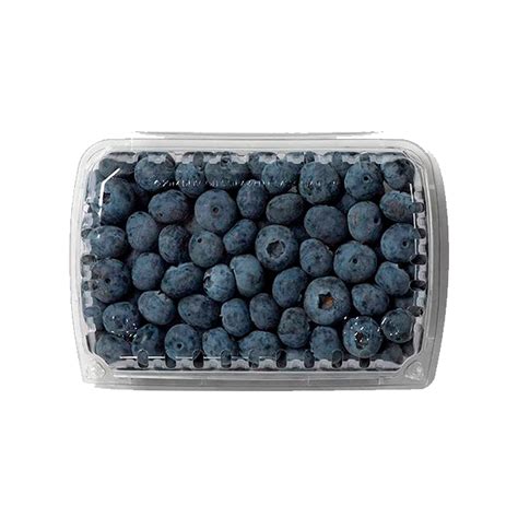 Blue Berry – Grupo Alimenticio vida