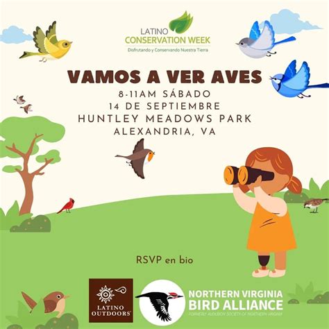 Scholarships — Spanish Sin Pena