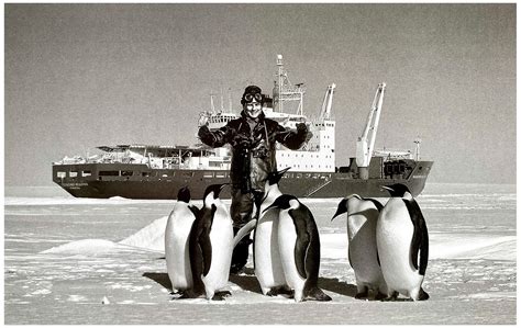 PolF - In memoriam Bruno Penguin Zehnder, 1945–1997, the famous ...