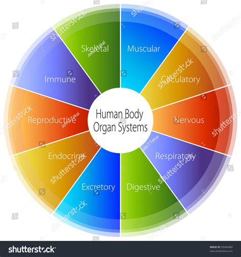 Biological System 的图像结果