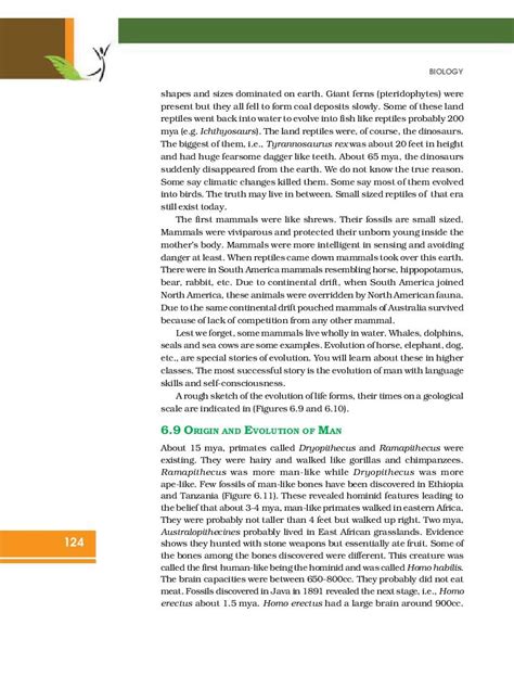 Image result for Class 12 Chapter 6 Evolution