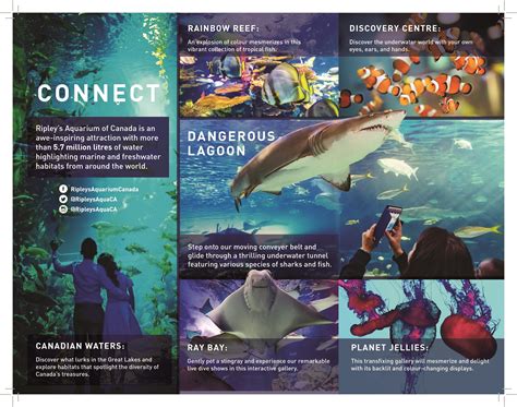 Promotional Code For Ripley's Aquarium Toronto at Mary Loper blog