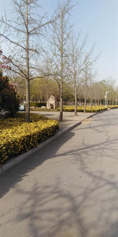 山东科技大学青岛校区(图)