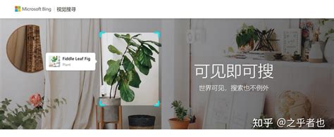 必 应 搜图 的图像结果