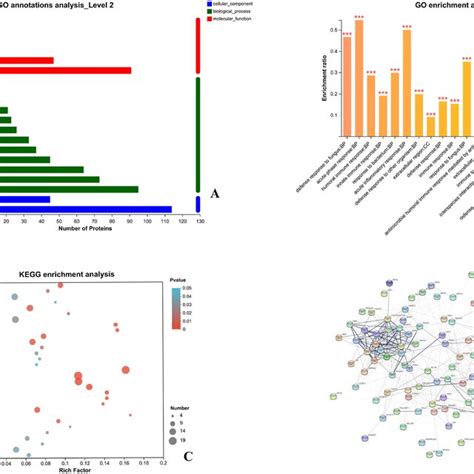Image result for Go Annotation Analysis Step