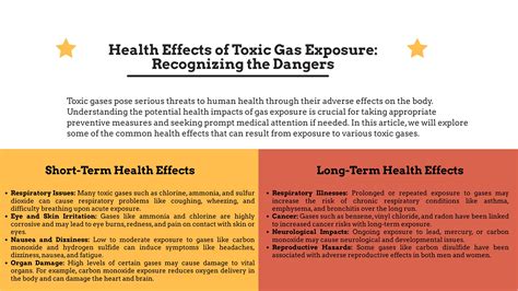 Health Effects of Toxic Gas Exposure: Recognizing the Dangers - Sensor One Stop - The Best Value ...
