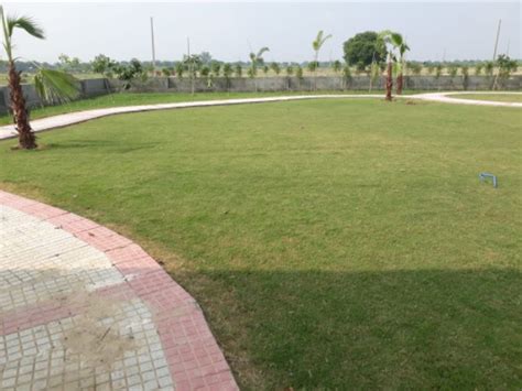 4500 Sq.ft. Residential Plot for Sale in Barsana, Mathura - by Krs Groups