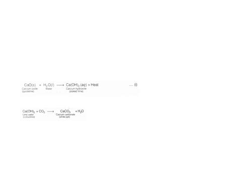 CBSE Class 10 Science Lab Manual – Types of Reactions - CBSE Class 10 ...