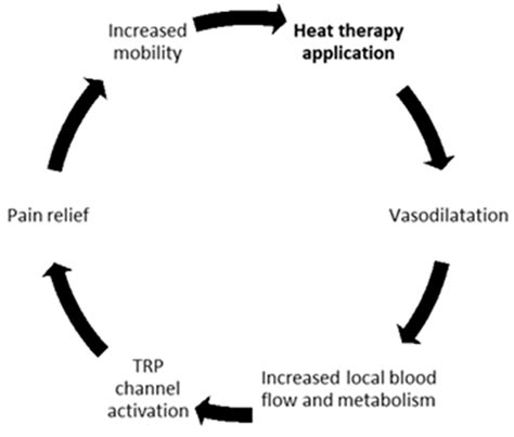 Current Indications and Future Direction in Heat Therapy for ...