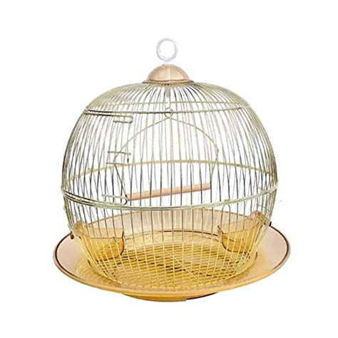 Gold Bird Cage - Crates, Gates & Containment : Amazon.in: Pet Supplies