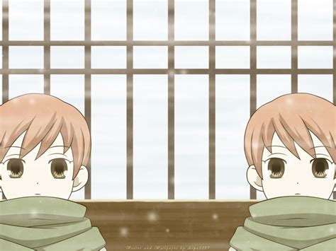 Hitachiin Twins - Ouran High School Host Club - Wallpaper #160686 ...