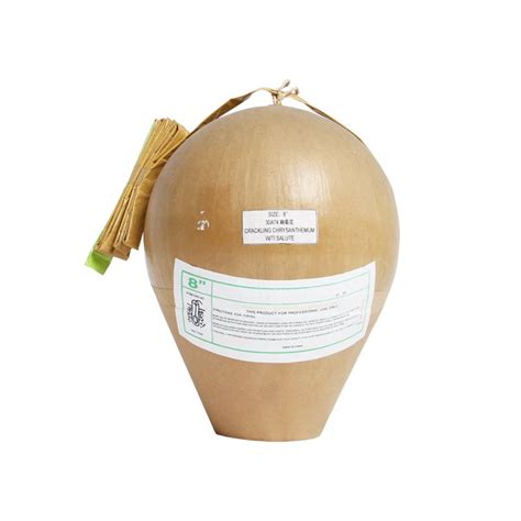 Image result for 8 Inch Firework Shell