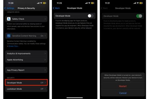 iPhone Developer Options 的图像结果