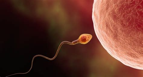 5 SHOCKING things that decrease your sperm count | TheHealthSite.com