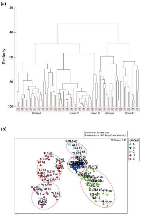 Estimation of the Benthic Habitat Zonation by Photo-Quadrat Image ...