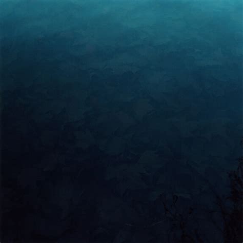 Lydia Goldblatt. Still Here | Meer