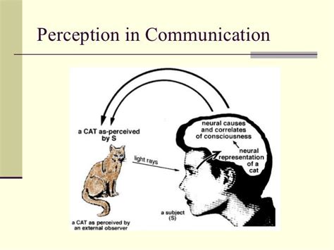Image result for Perception in Communication