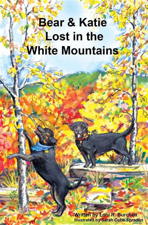 Bear & Katie Lost in the White Mountains (Bear & Katie Series Book 6 ...