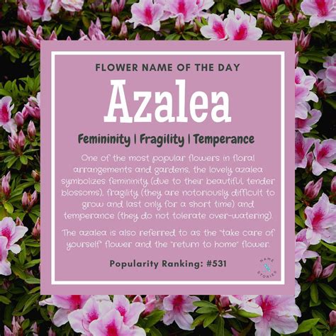 @namestoriescom posted to Instagram: 🌸 Today’s ...