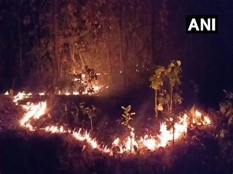 Fire in Similipal biosphere reserve now under control