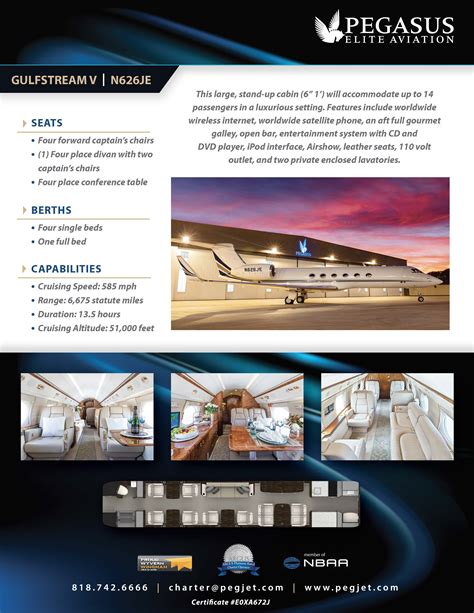 Pegasus Elite Aviation, Inc - charter operator - aircraft dealer