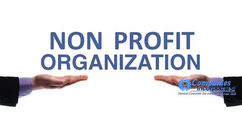 Non-Profit Organization Examples 的图像结果