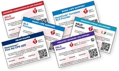 American Heart Association Certification Blended Learning Course, 201 ...