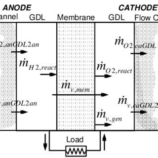 Image result for Dynamic Model