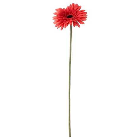 SMYCKA artificial flower, Gerbera/red, 50 cm (19 ¾") - IKEA