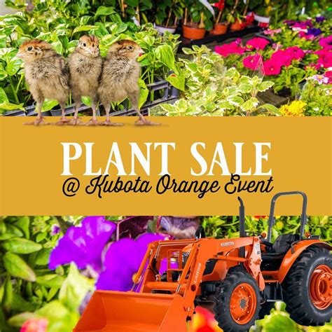 Plant Sale & Chicken Fun @ Kubota Orange Days, 14369 Ridge Rd W, Albion ...