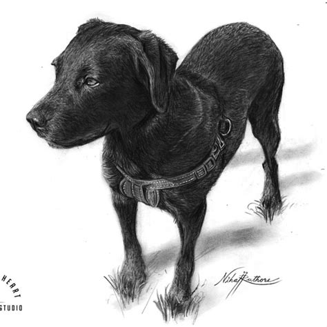 NihalArtStudio - Etsy India