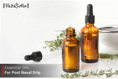 8 Best Essential Oils For Post Nasal Drip - Vedaoils – VedaOils
