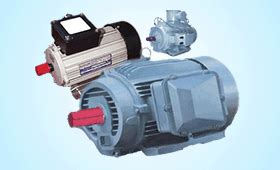 mfg. of CACW High Voltage Induction Motors, CACA High Voltage Induction ...