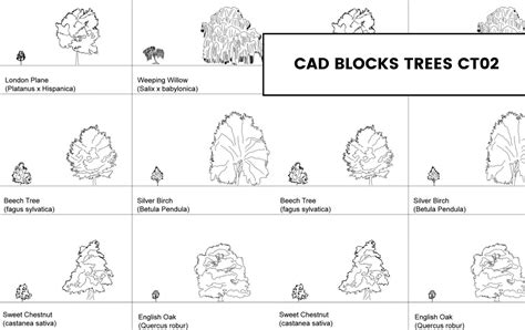 Free CAD Tree Usage Tutorial 的图像结果