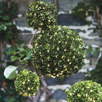 Boxwood Spheres, Set of Six | Frontgate