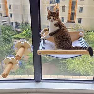 FuneeTop Cat Window Perch with 2 Stairs, Natural Wood, 17'' Wide ...