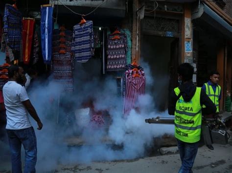 Nepal dengue outbreak: 6 killed, over 5000 cases reported