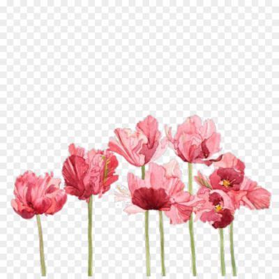 Aesthetic Flowers PNG Transparent - Pngsource