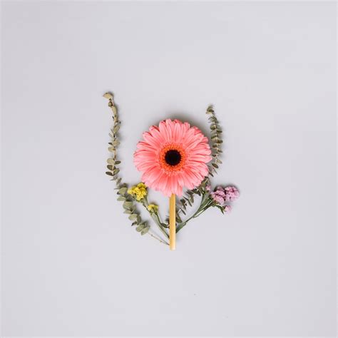 Flowers without background Images - Free Download on Freepik