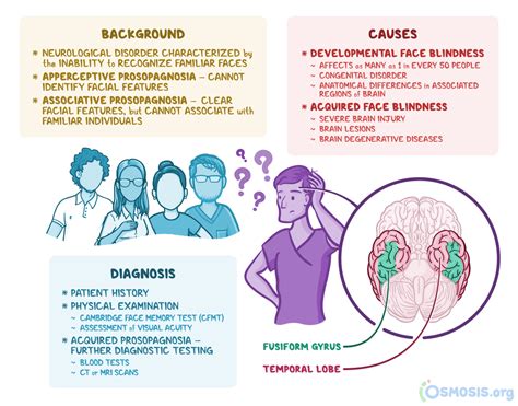 Image result for Face Blind Test