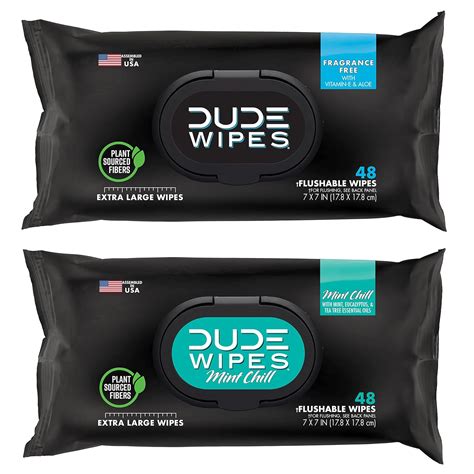 Buy DUDE Wipes Flushable Wipes - 1 Pack, 48 Wipes - Unscented with ...