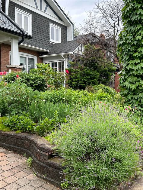 No lawn front yards in Toronto West end - Zone 6b : r/NoLawns