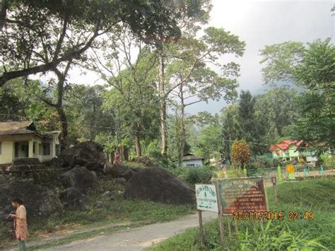 WBFDC Nature Resort - Jhallong River Camp (Jhalong) - Lodge Reviews ...